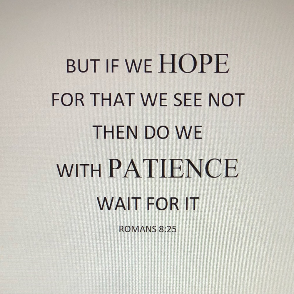 TED BAKER | Cardigan Jacket